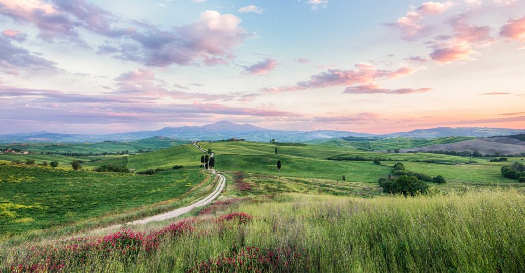 Toskana, Val d'Orcia, Portfolio, Workshops , Toskana Fotoworkshop Frühling, Toskana, Landschaft, Gladiator, Abendstimmung, lieblich, colorful, Ernst Merkhofer, Workshop, Fotograf, Fotografie, home, Hochzeiten , Portraits, Business,