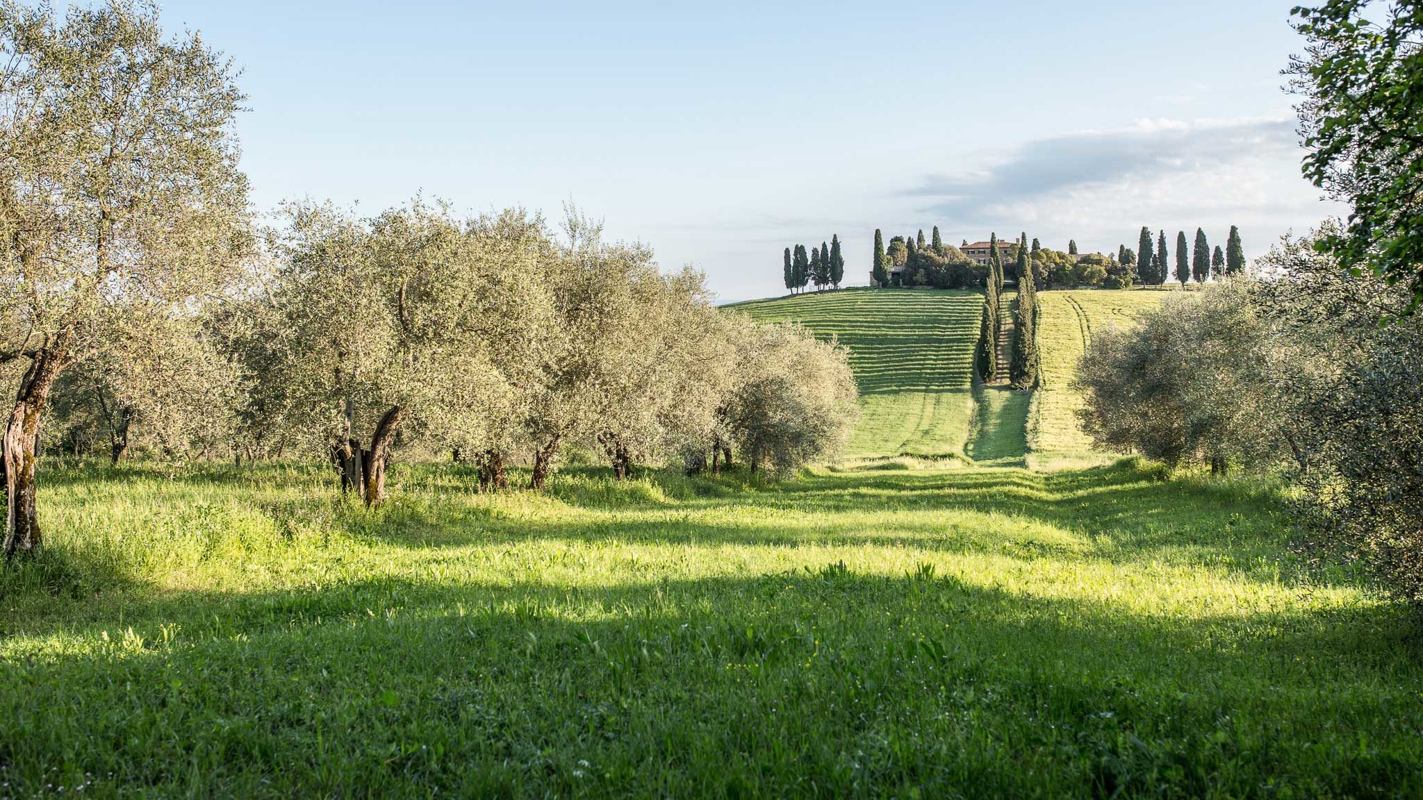 Toskana, Val d'Orcia, Herbst, Workshop, Workshops, Fotografie, Panorama, Photography, Ernst Merkhofer, Fotograf, Landschaft,