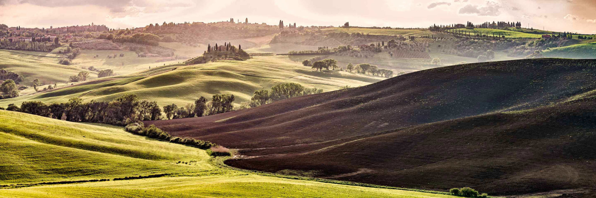 Toskana, Herbst, Workshop, Workshops, Fotografie, Panorama, Photography, Ernst Merkhofer, Fotograf, Val d'Orcia, Sunset , multirow panorama, misty, foggy, scenery, trees, fields, olives, farmhouse, agriturismo, Belvedere, Il Rigo, Italy, Tuscany