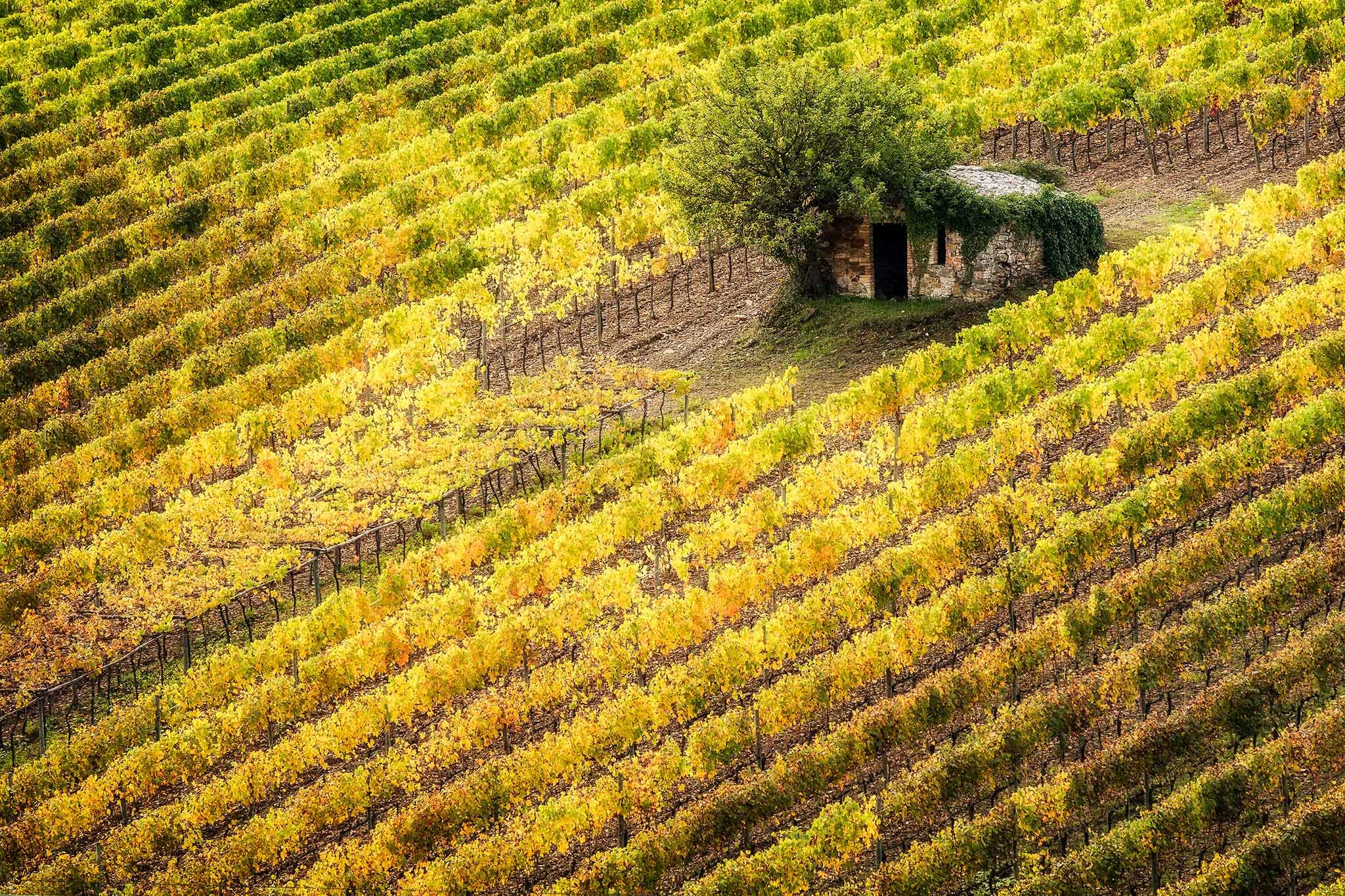 Toskana, Val d'Orcia, Herbst, Workshop, Workshops, Fotografie, Panorama, Photography, Ernst Merkhofer, Fotograf