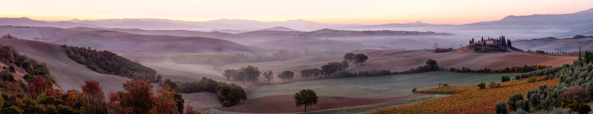 Toskana, Herbst, Workshop, Workshops, Fotografie, Panorama, Photography, Ernst Merkhofer, Fotograf, Val d'Orcia, Sunrise, multirow panorama, misty, foggy, scenery, trees, fields, olives, deer, farmhouse, agriturismo, Belvedere, Il Rigo, Italy, Tuscany