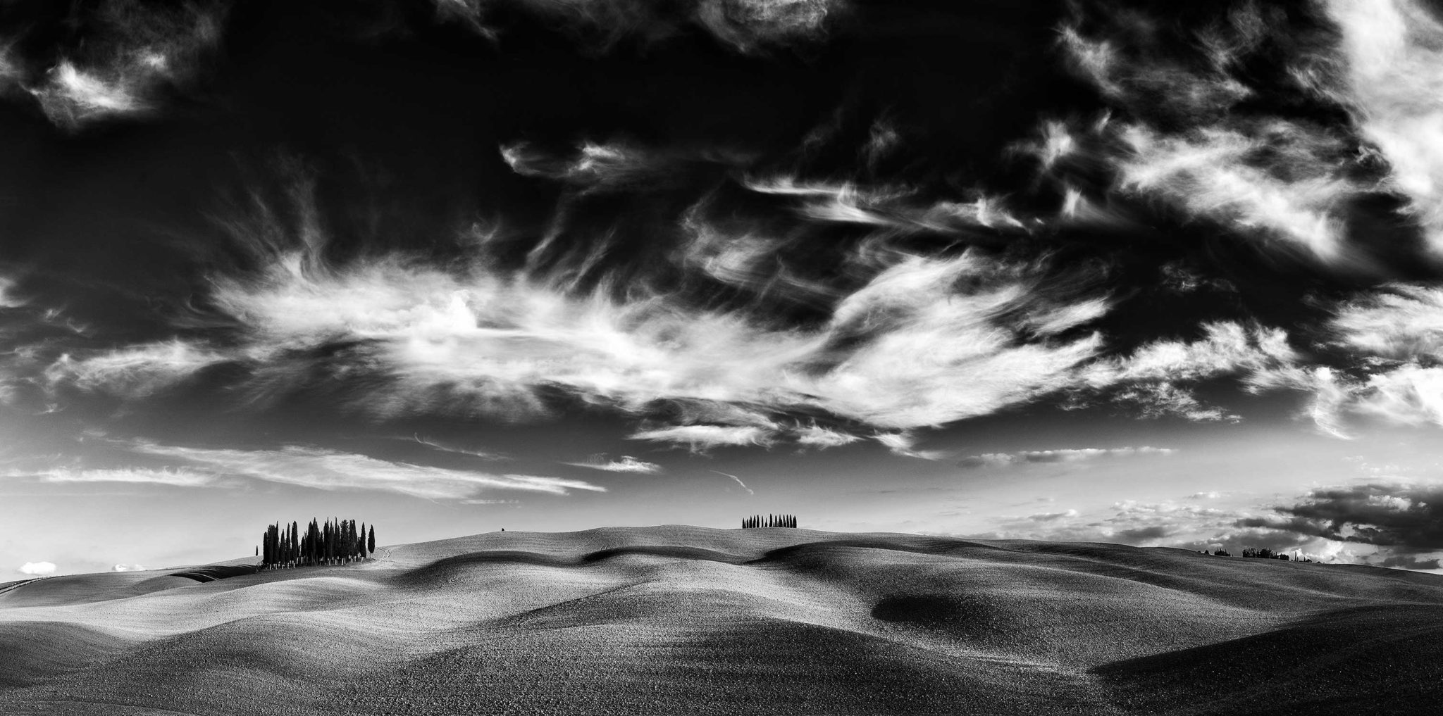 Toskana, Val d'Orcia, Herbst, Workshop, Workshops, Fotografie, Panorama, Photography, Ernst Merkhofer, Torrenieri, San Quirico d'Orcia, famous trees, bnw , schwarz-weiss, sw