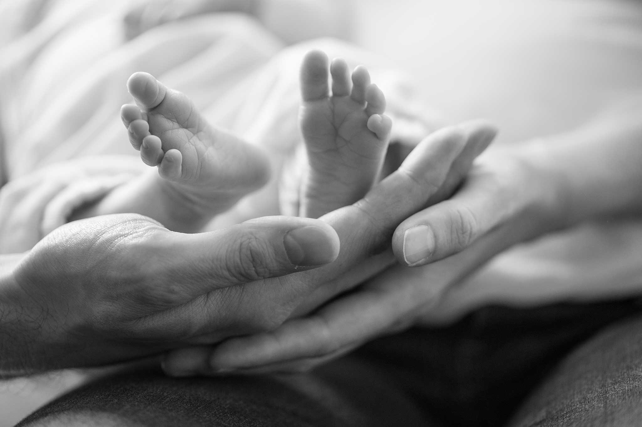 Baby Details,Füßchen auf der Handfläche der Eltern im Gegenlicht. swPortfolio